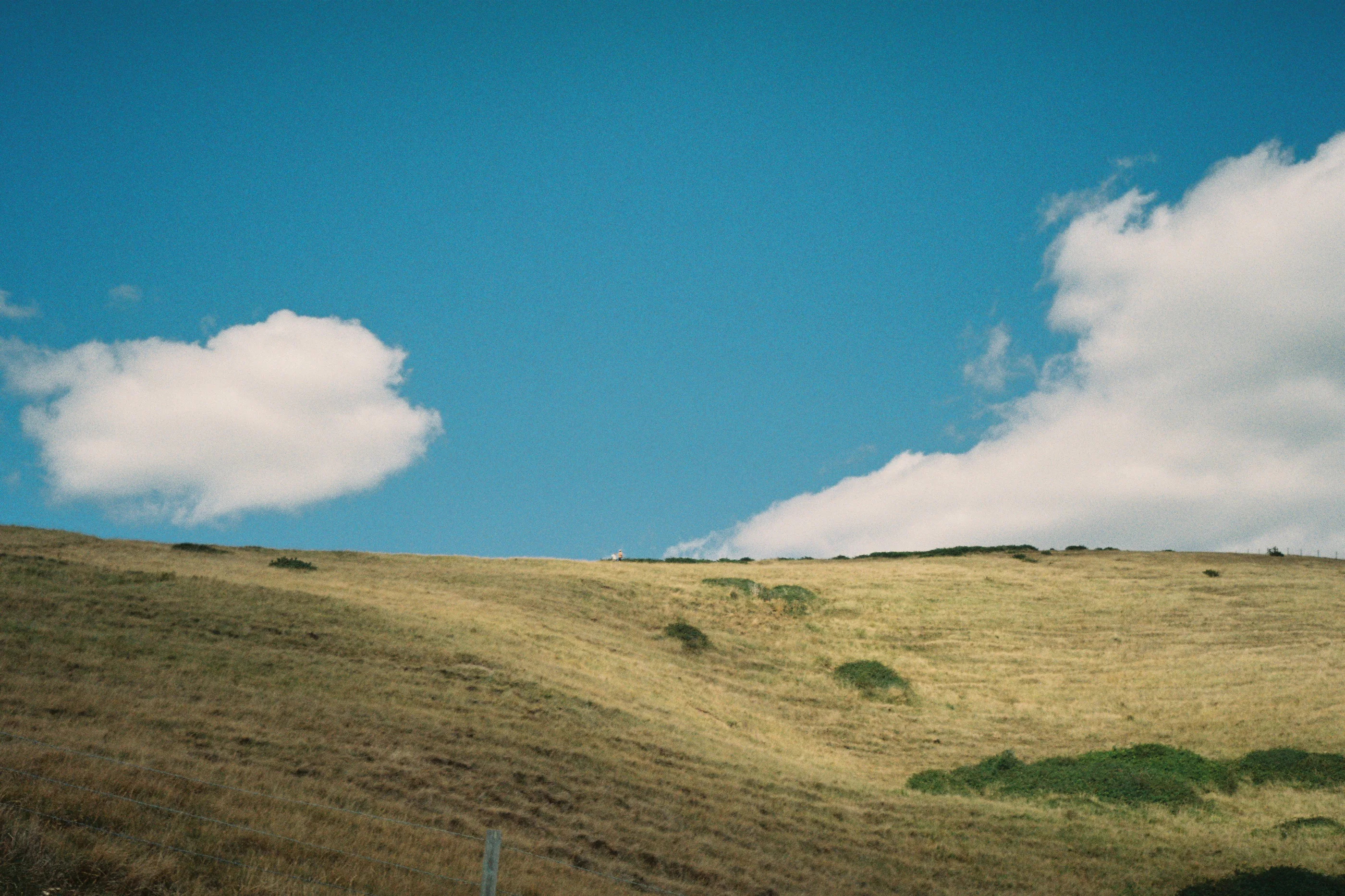 Photograph 2 from Bournemouth, taken in 2025.